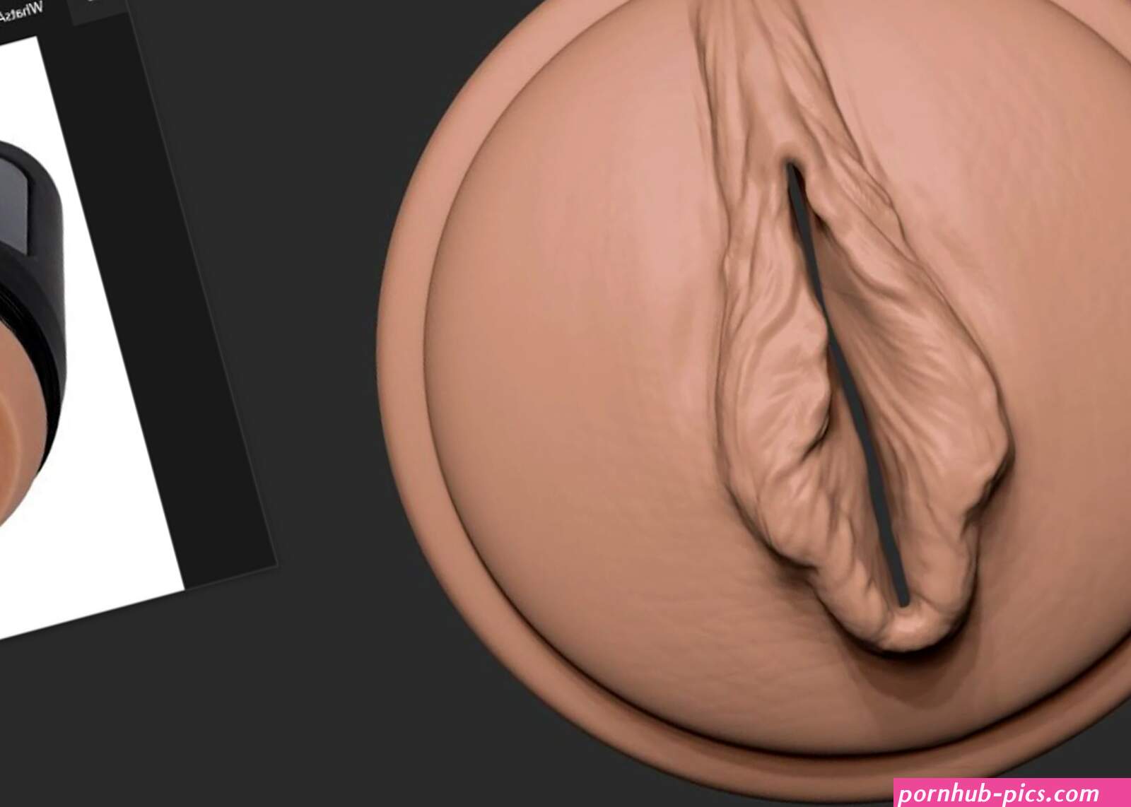 VAGINA LIP 3d Printable Model