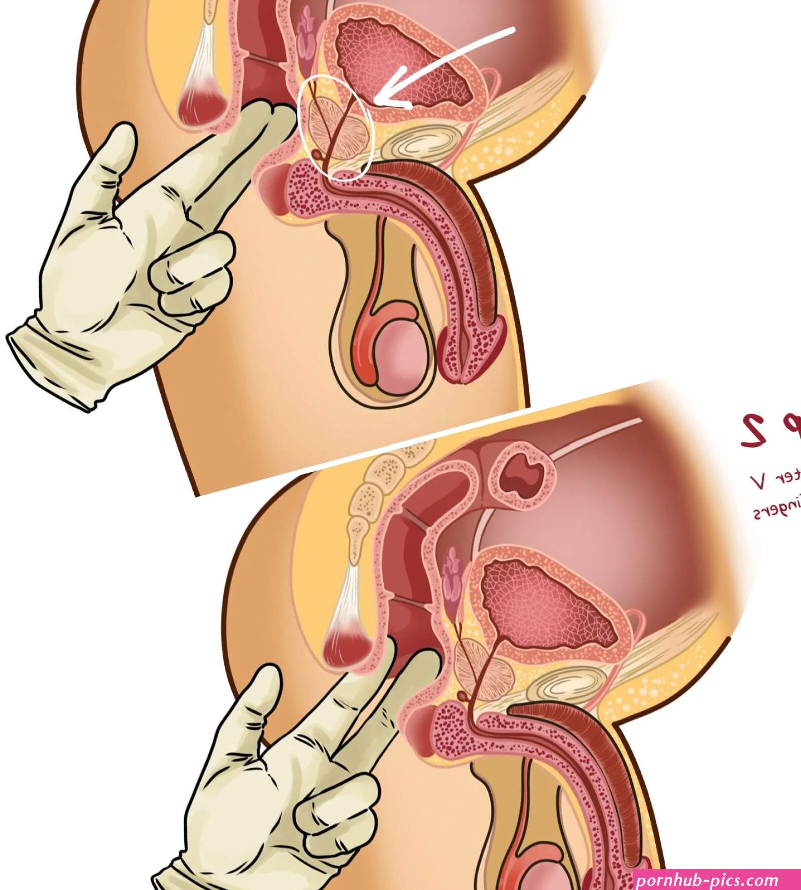 27 fingering techniques: How to finger vagina anus prostate