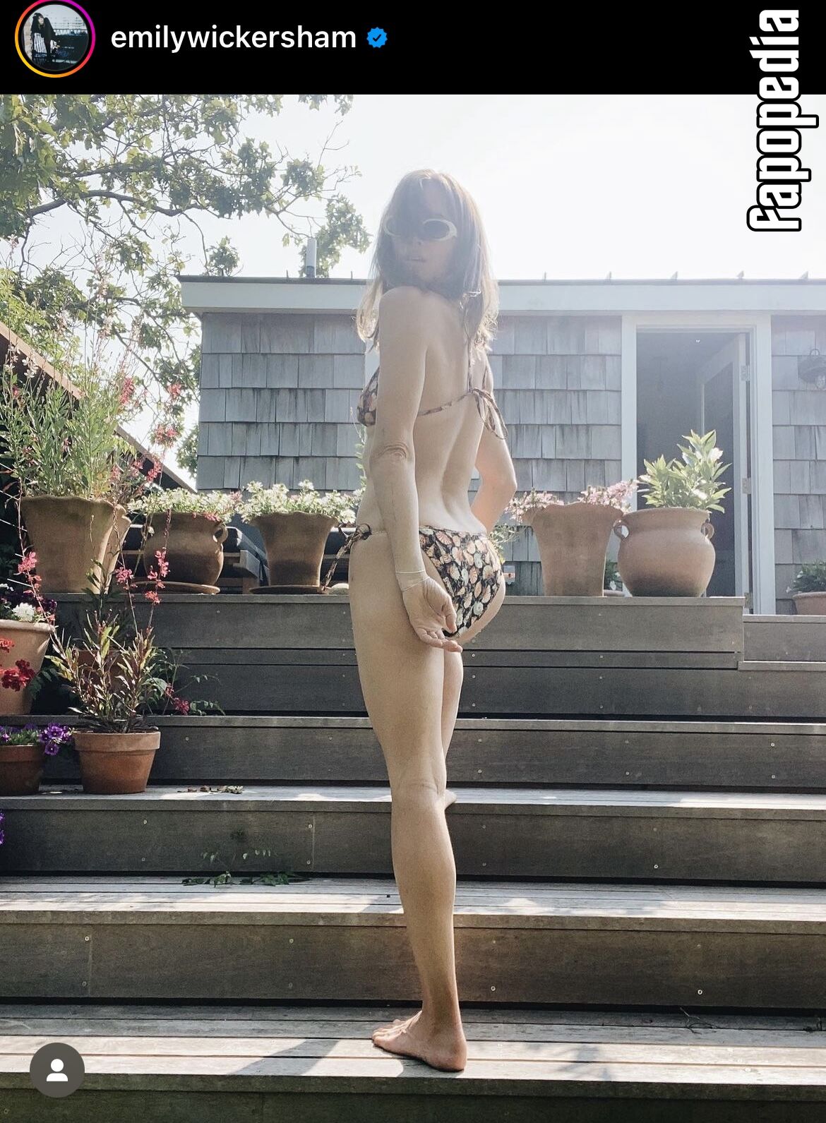 Emily Wickersham Nude Leaks