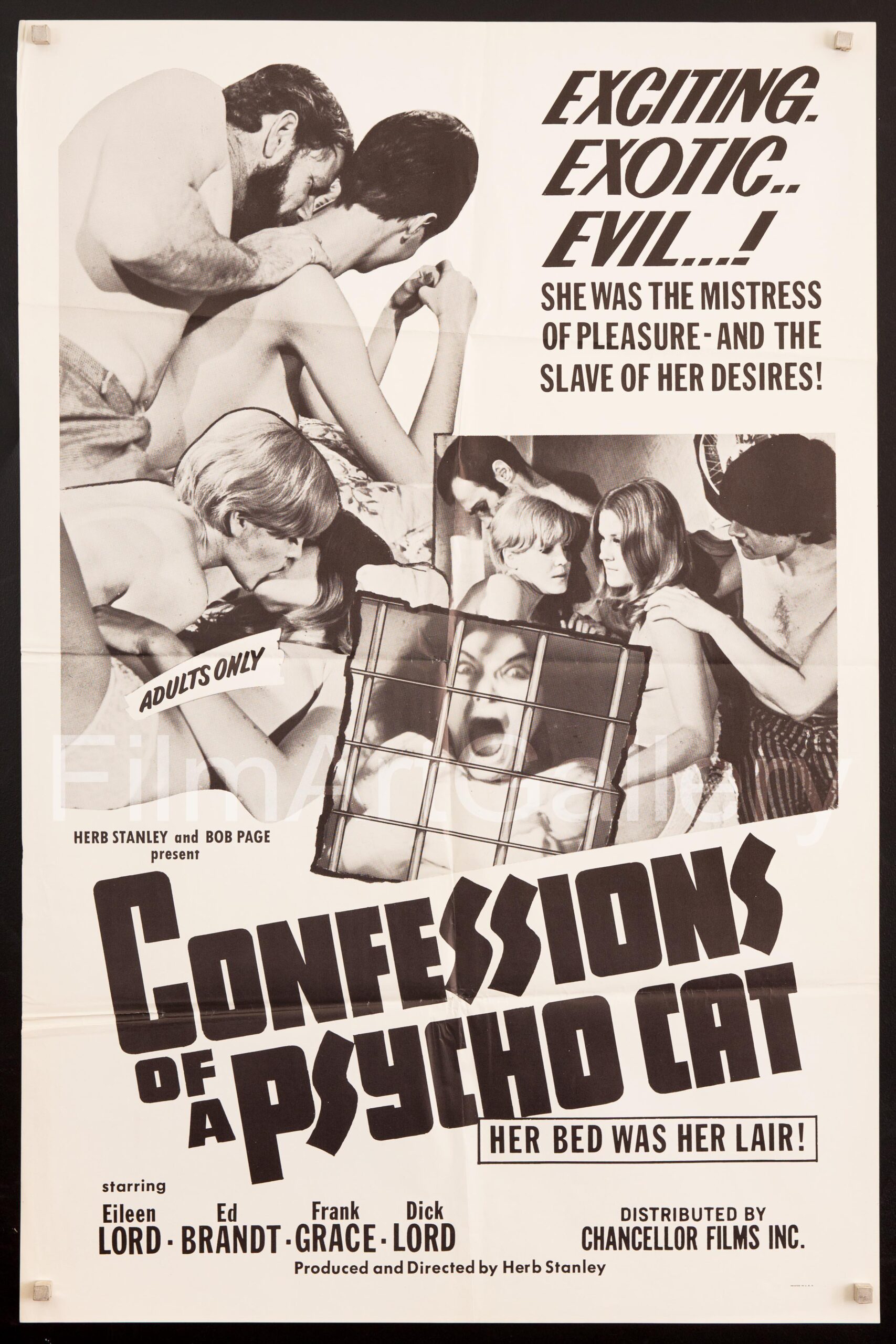 Confessions of a Psycho Cat Movie Poster 1968 1 Sheet 27x41