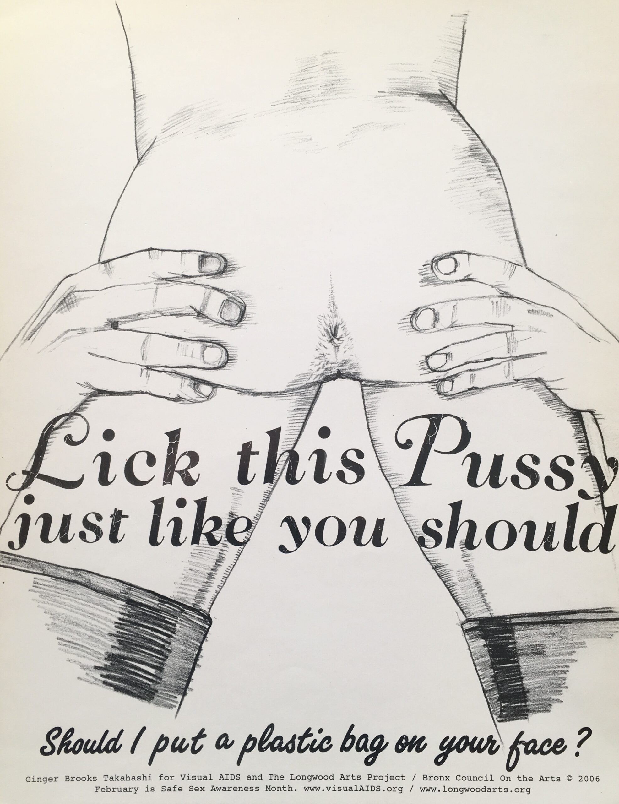 Ginger Brooks Takahashi. Lick this pussy just like you should Should I put a plastic bag on your face? Bronx New York Bronx Council on the Arts 2006