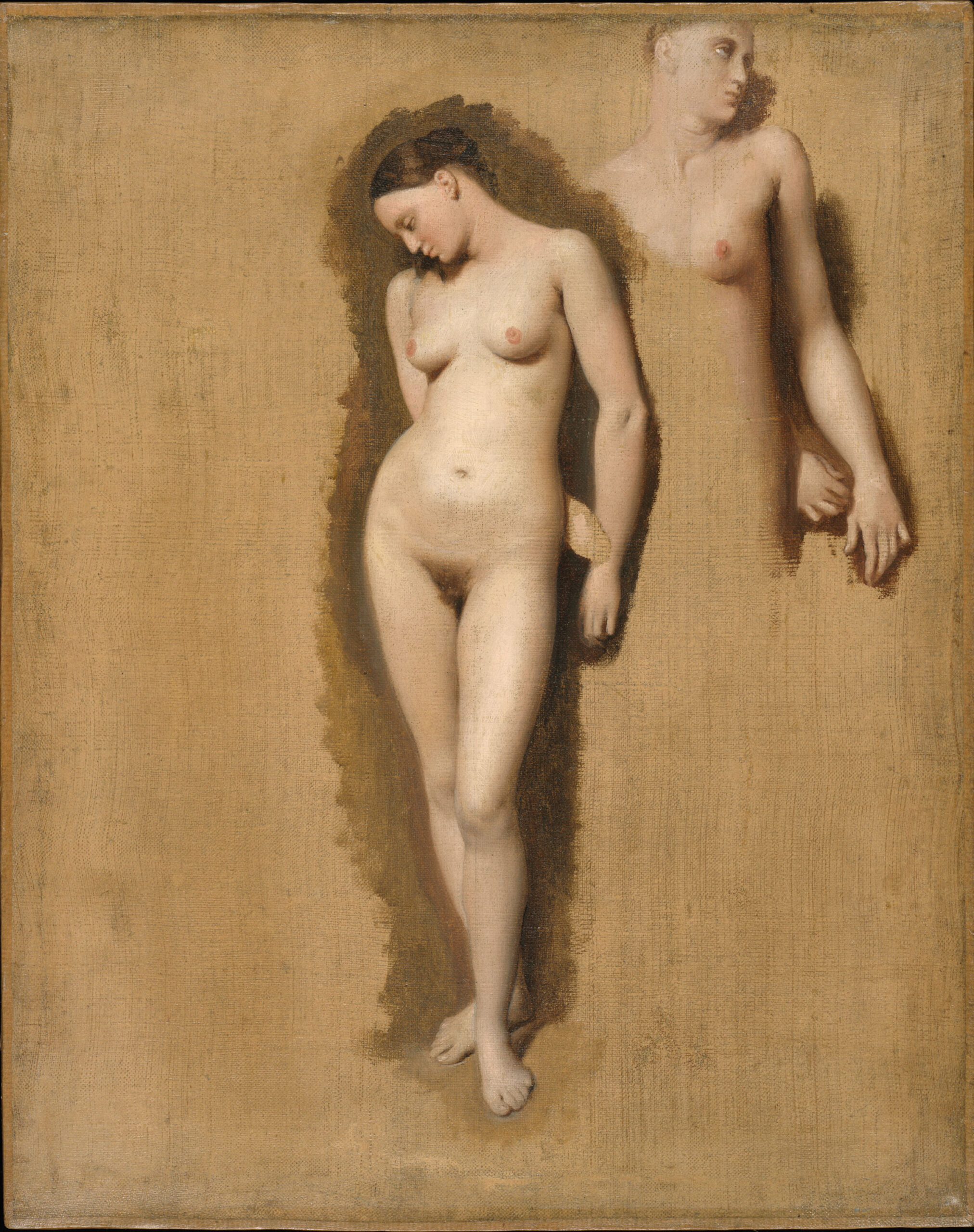 Study for Roger Freeing Angelica