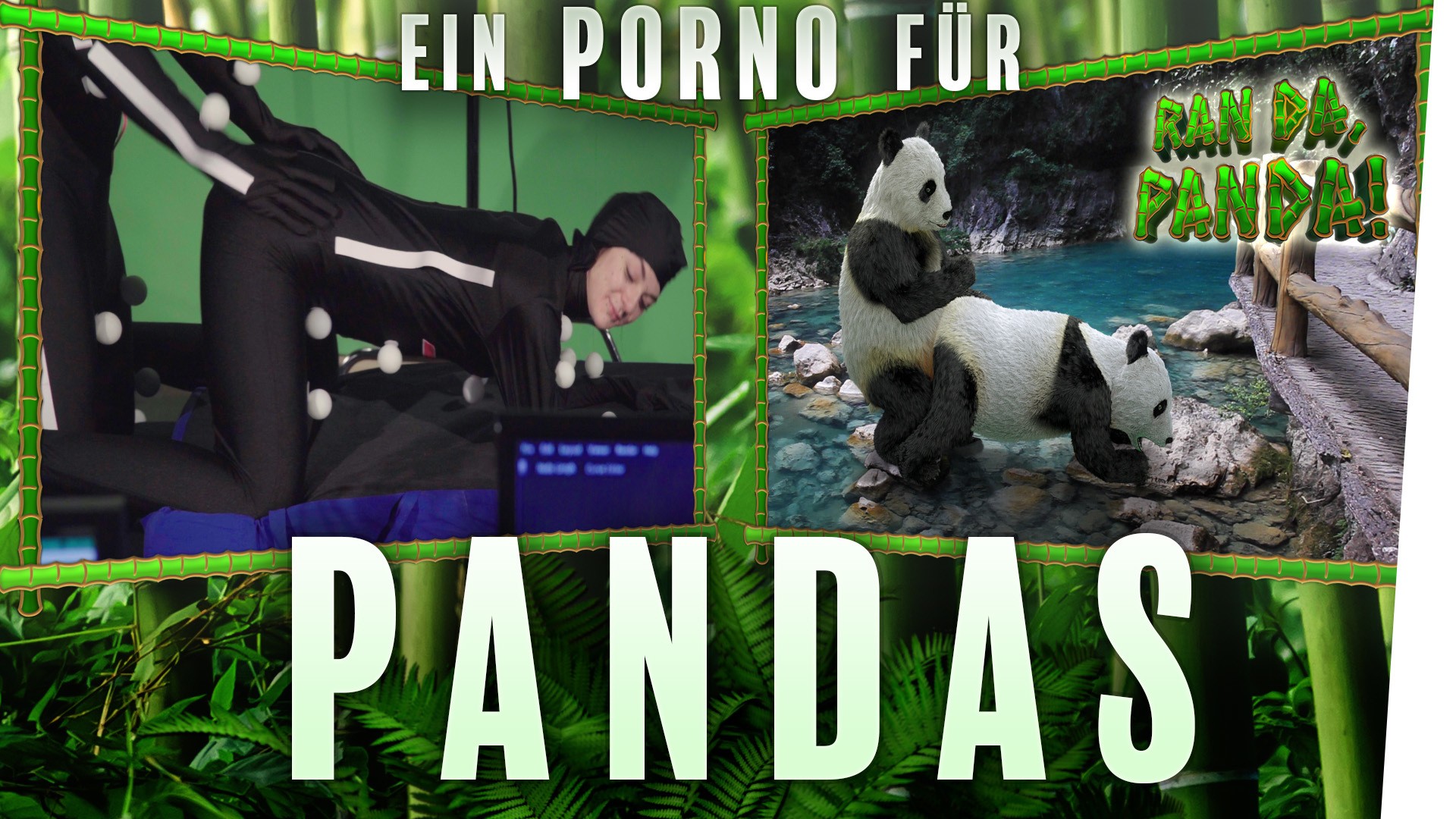 Ein Porno für Pandas