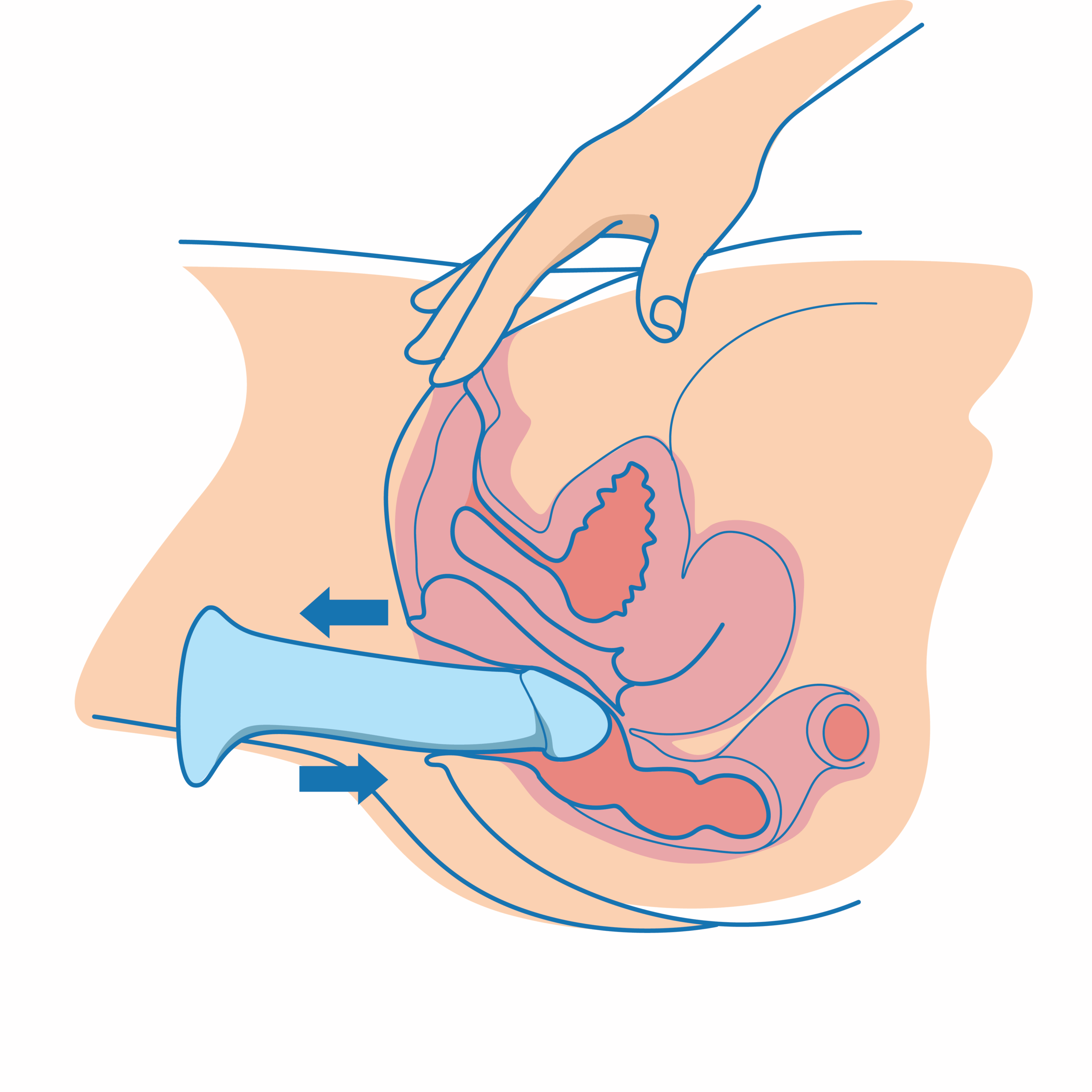 Anal Dildos: Everything You Need To Know
