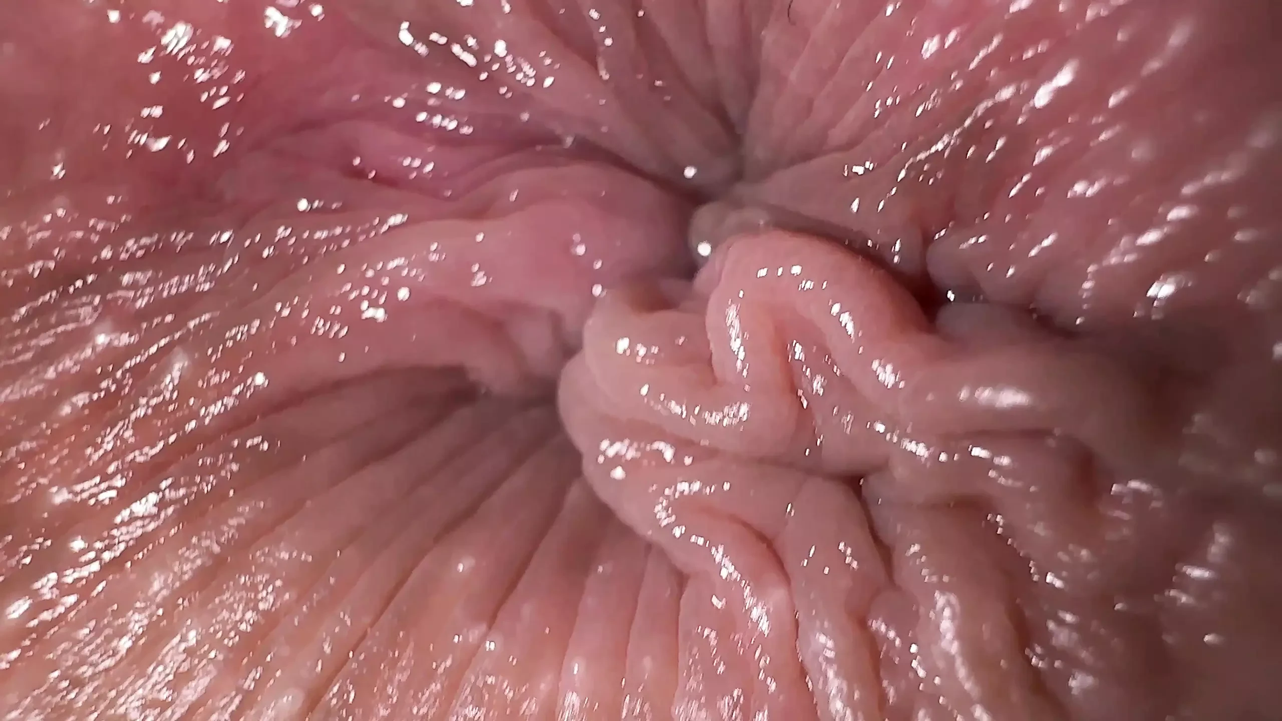 Close up Ass Fingering and Dirty Talk Anal Masturbation Orgasm