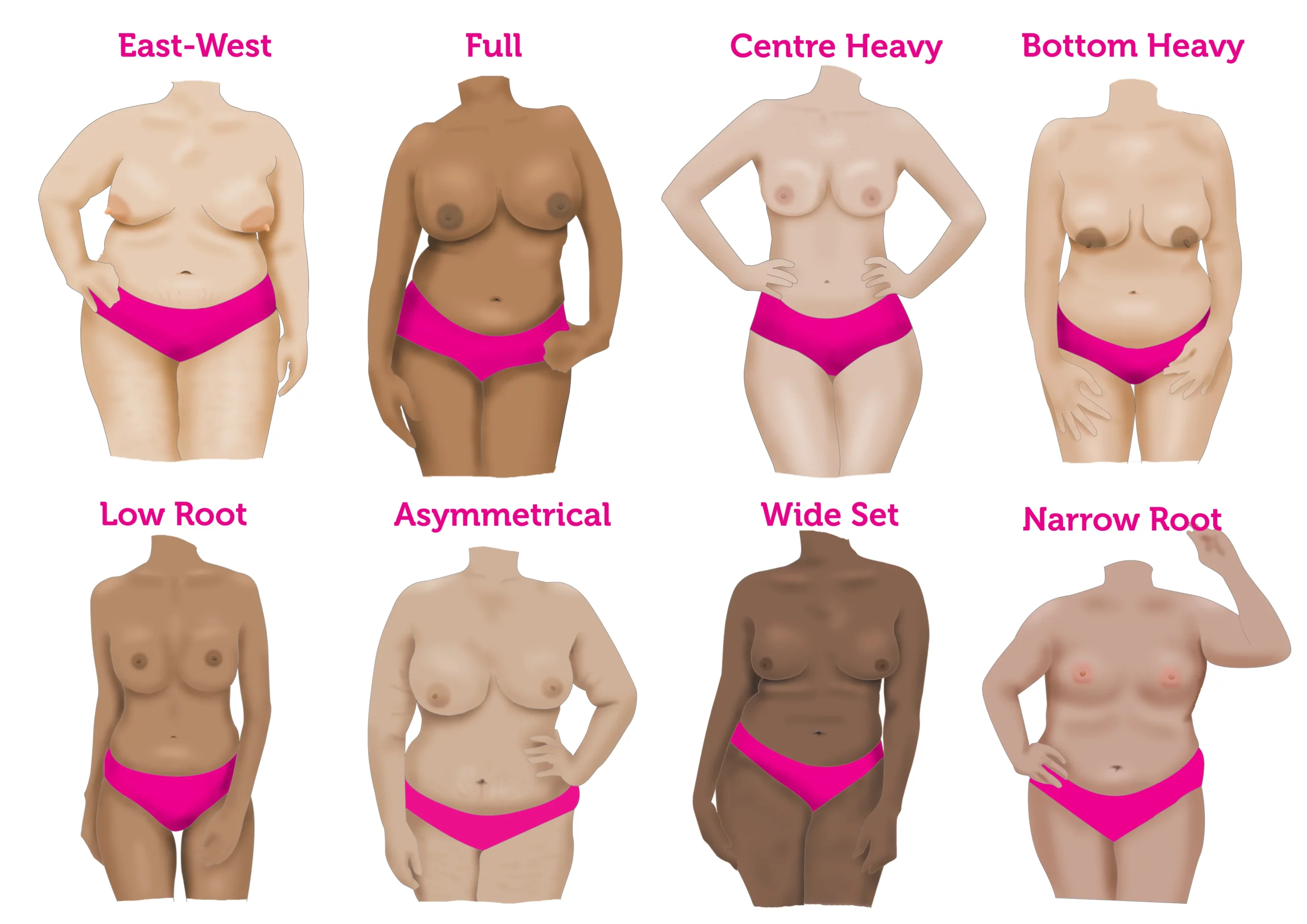 What Type of Boobs do you have?