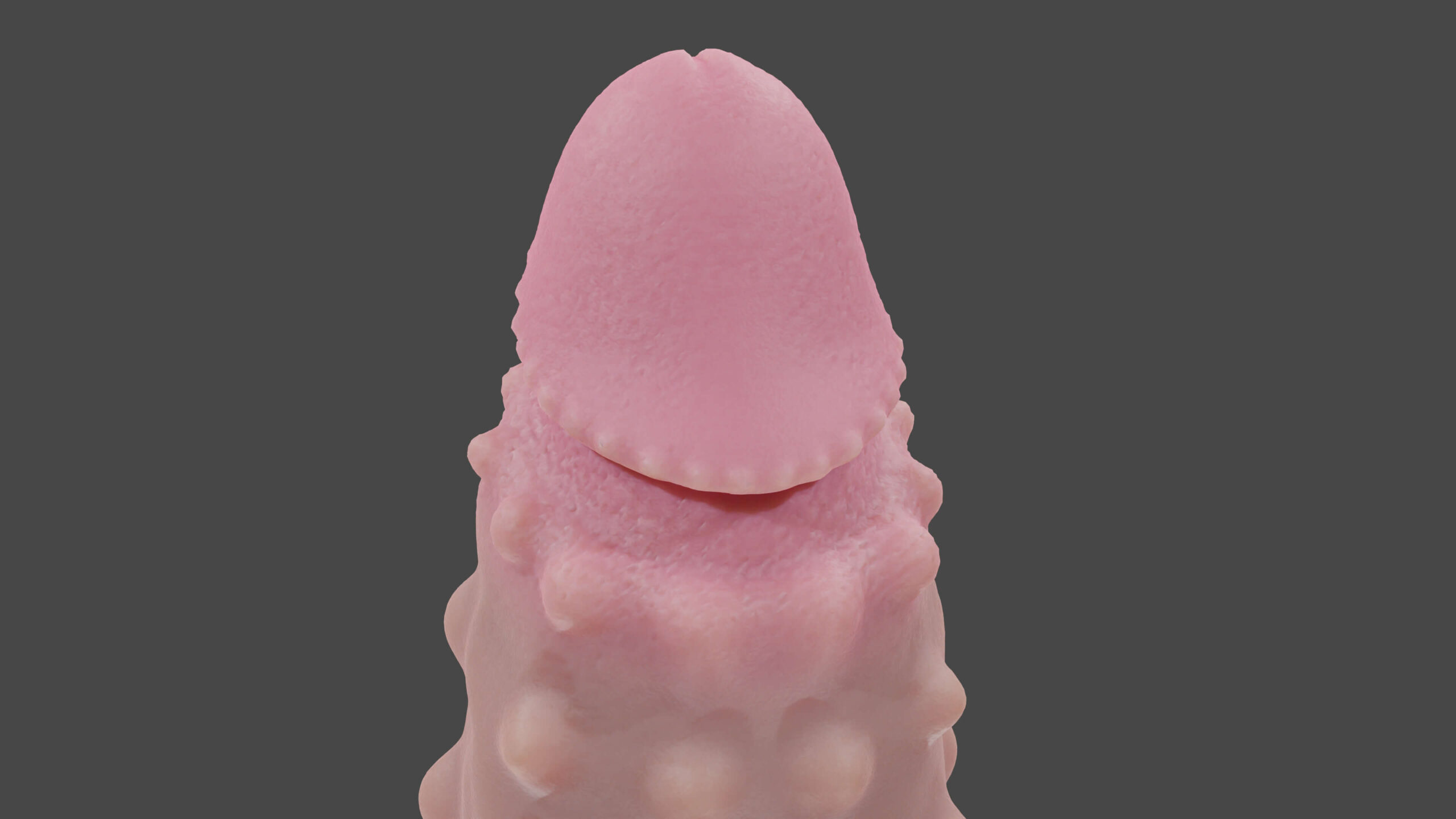 Virinas Studded Dildo Rigged