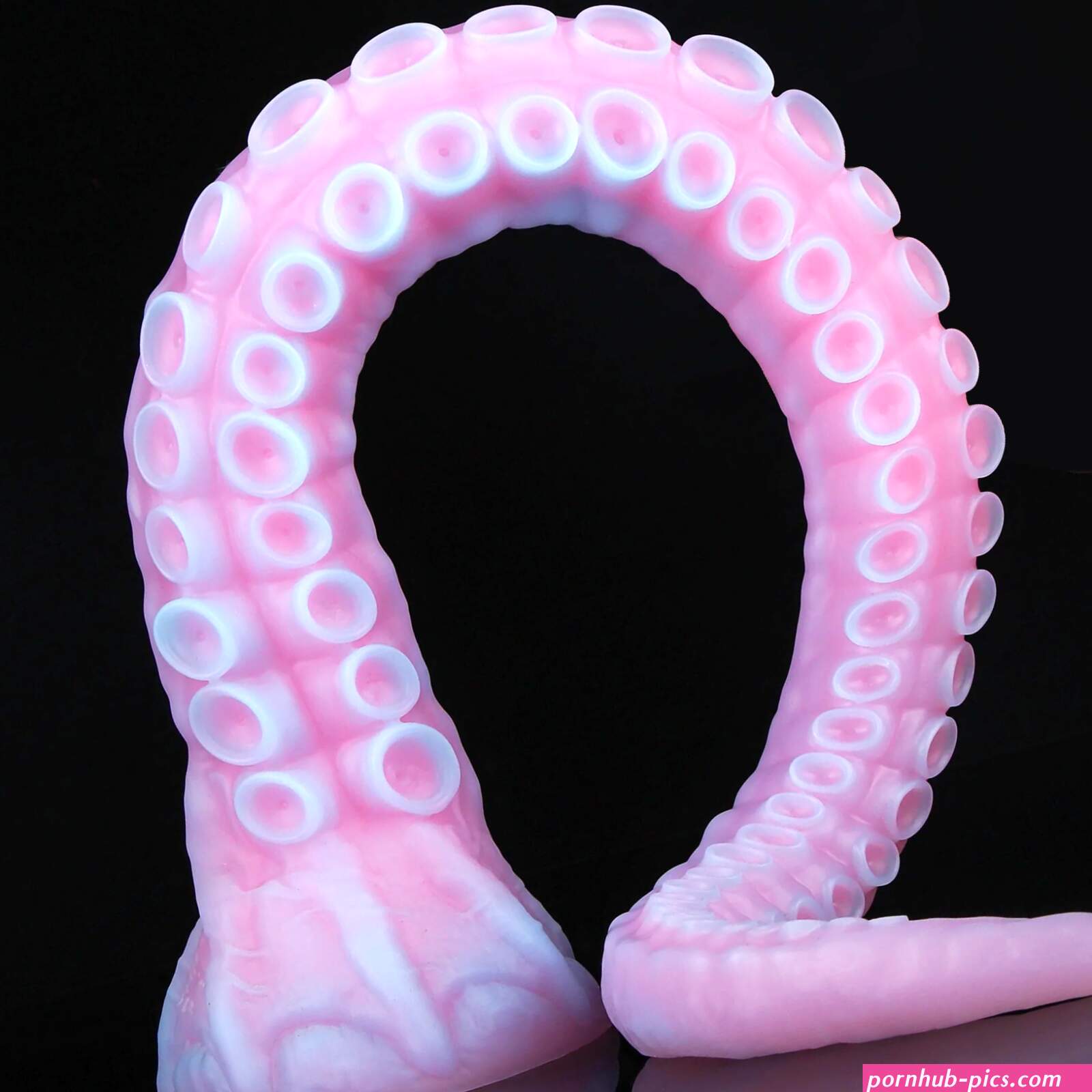 Nothosaur ALLA Monster Tentacle Dildo Long Fantasy Dildo Anal Dildos
