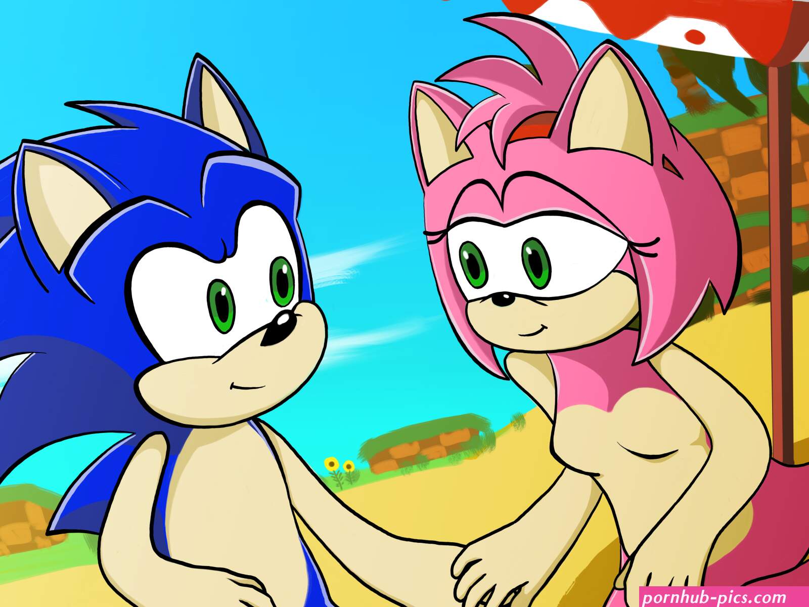 Nude Amy Rose and Sonic on the beach SonicAmySquadYT by ZOLOTOIUwU Submission