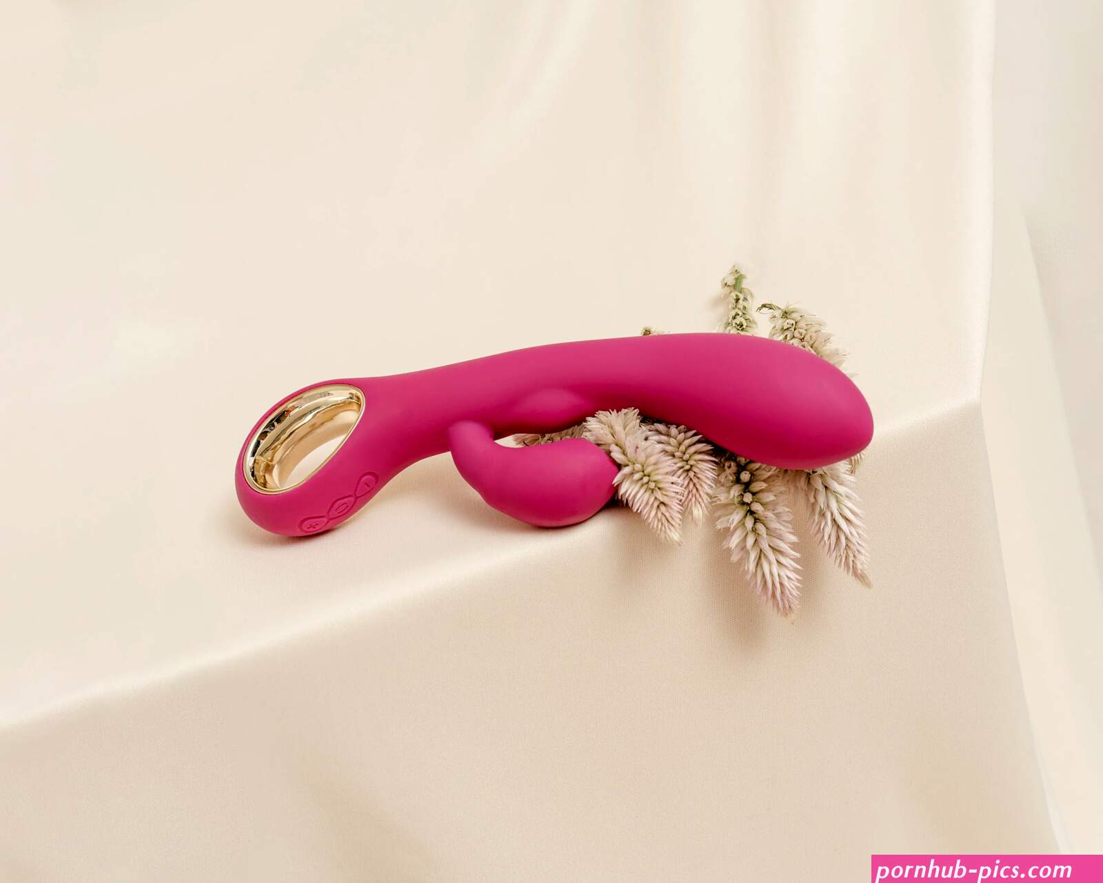 Pornografa: breve historia de la industria del porno