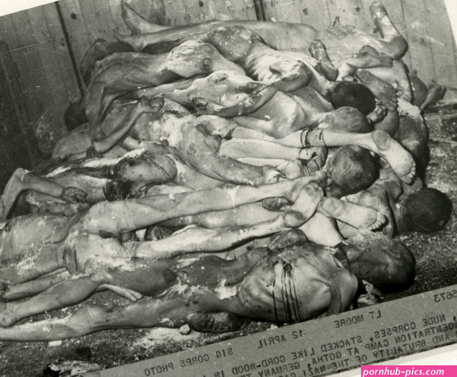Corpses from a concentration camp in Germany in April 1945