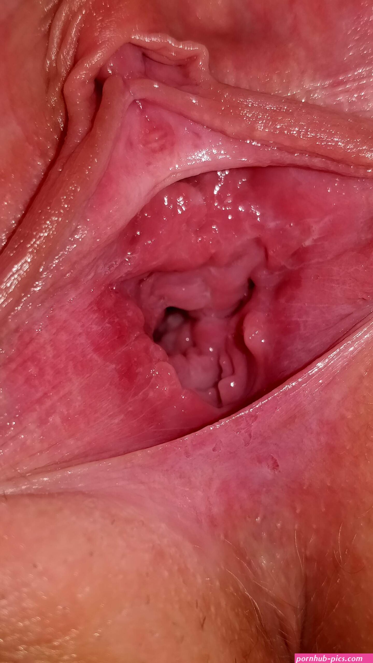 Girlfriends pussy spread wide open Porn Pic