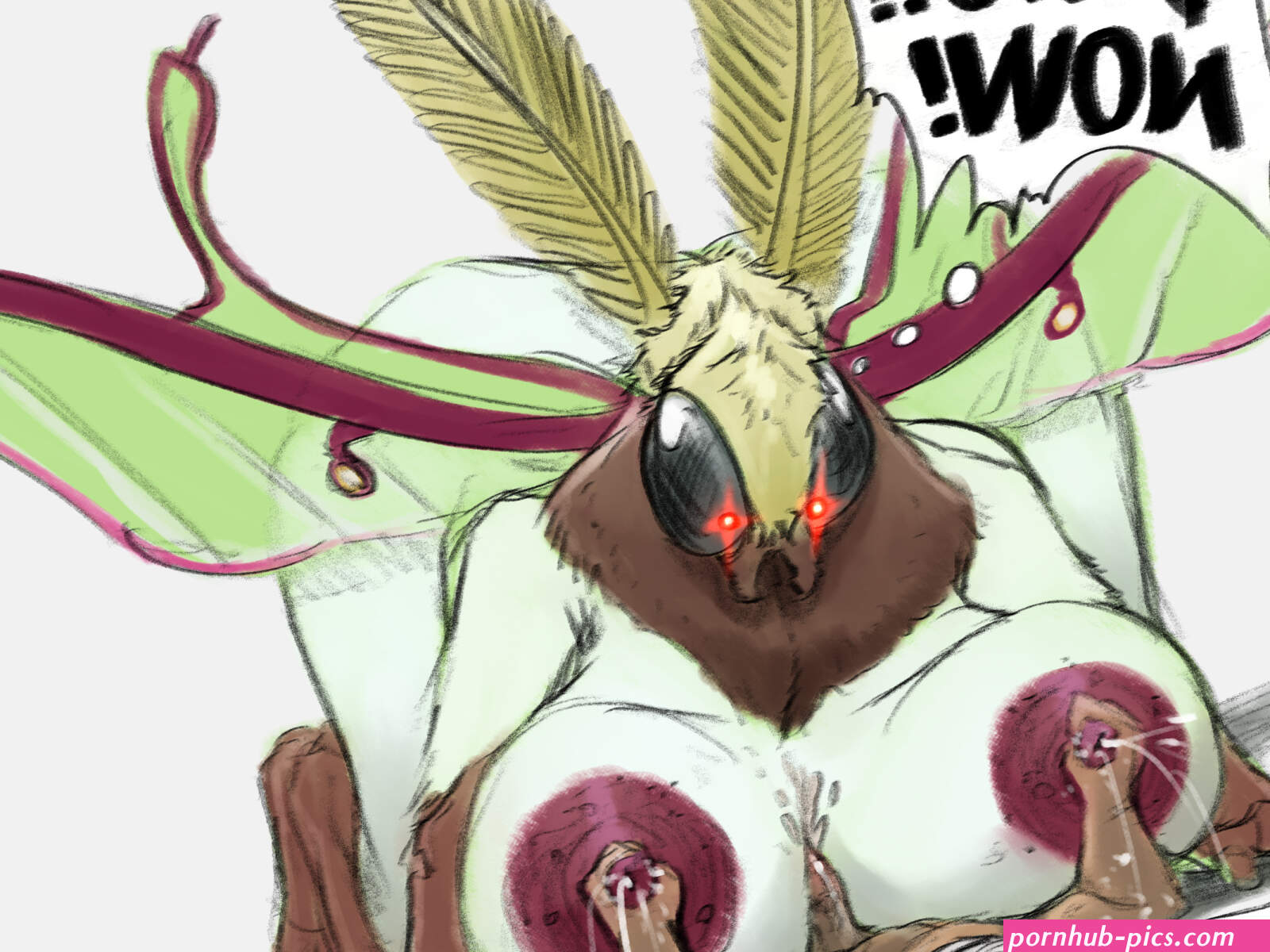 BREED MOTH