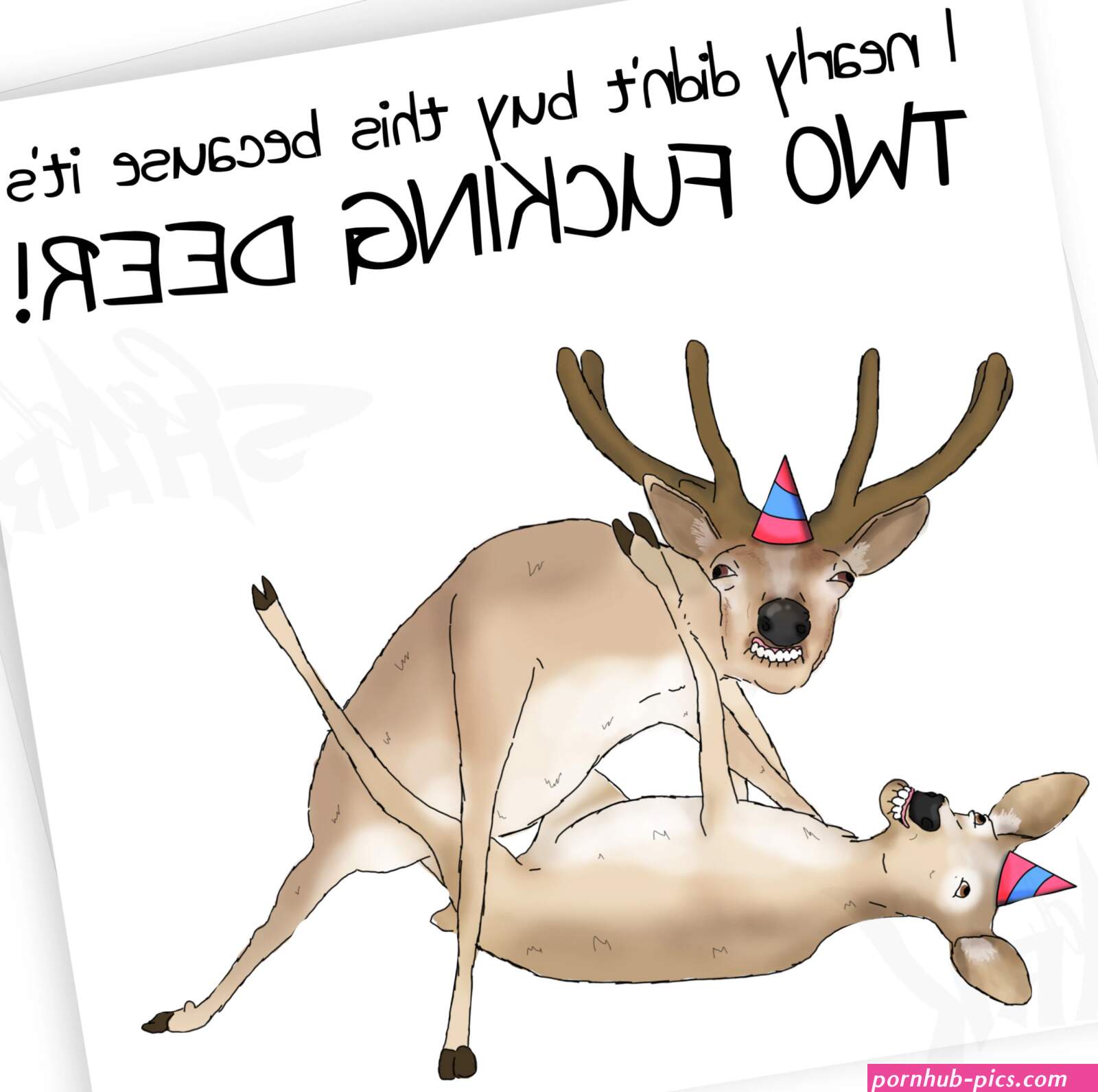 Two F-ing Deer Funny Birthday Card Rude Birthday Card for Him Naughty Card Rude Cards for Her Birthday Card for Husband Wife Joke