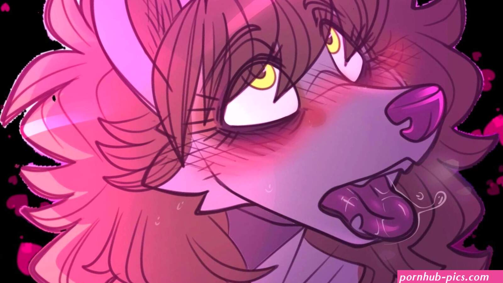 Furry HMV