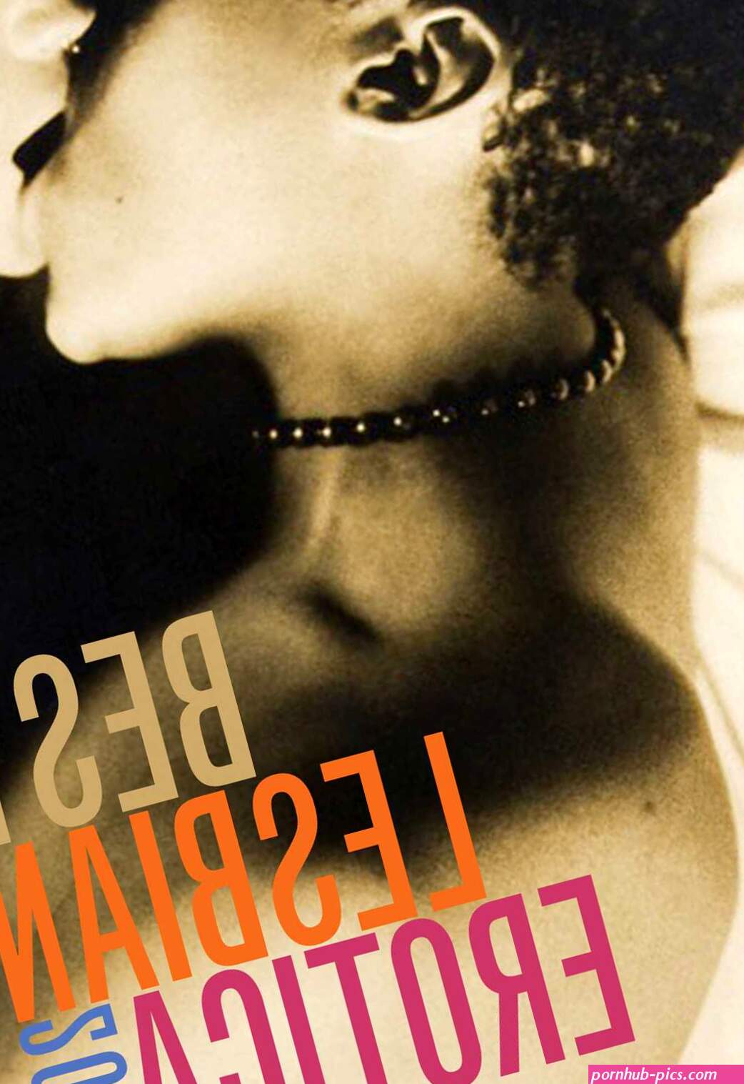 Best Lesbian Erotica 2013 eBook by Kathleen Warnock